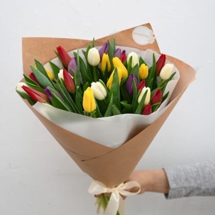 Colorful tulips 31 pieces