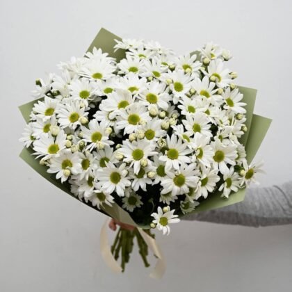 A bouquet of white daisies