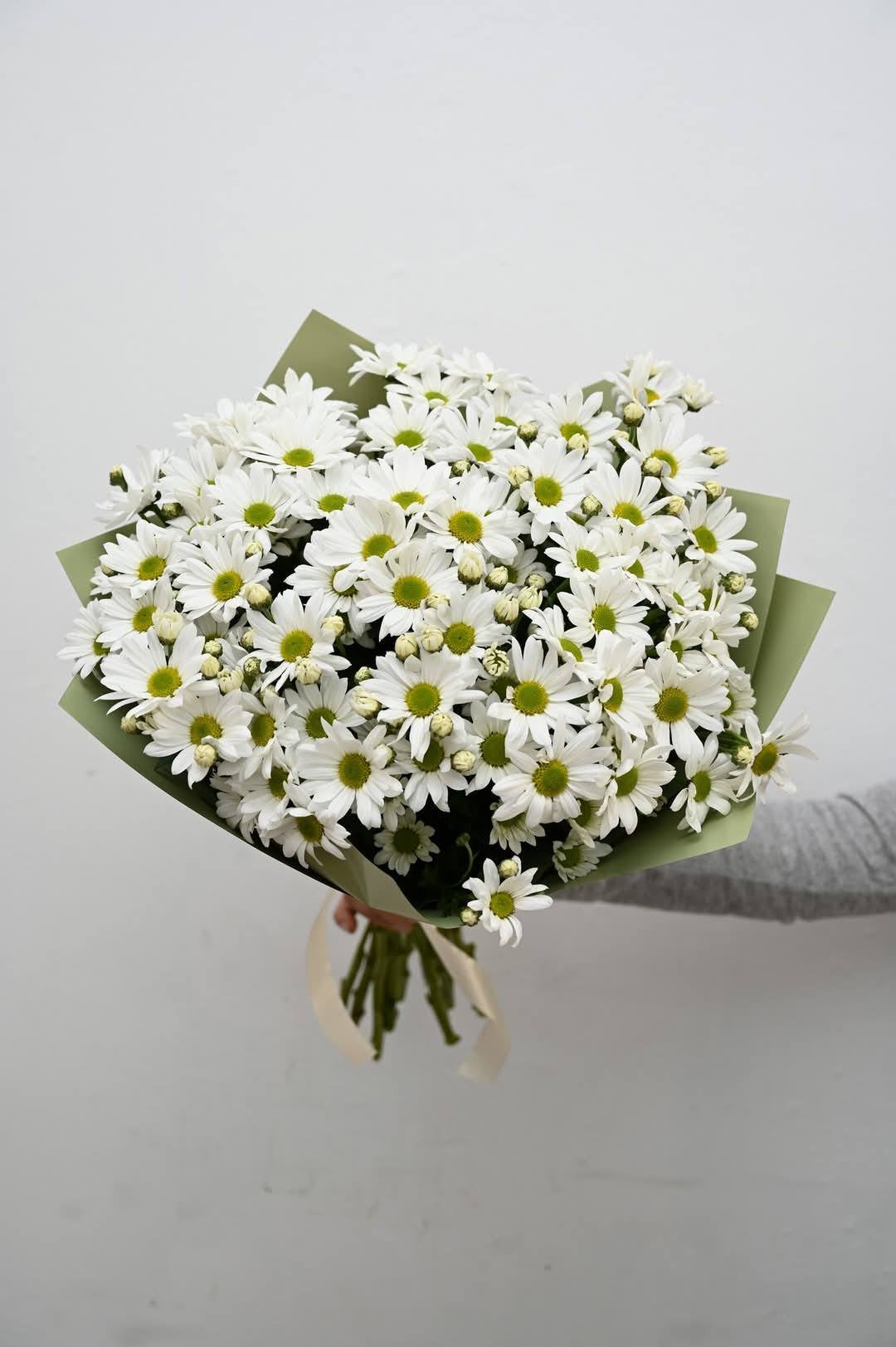 A bouquet of white daisies