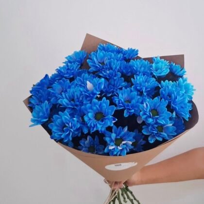 A bouquet of daisies