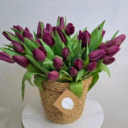 31 tulip in the basket
