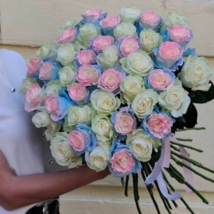 51 white and colored roses