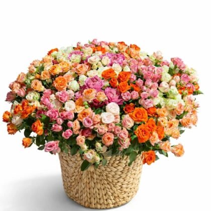 51 spray rose bouquet in a basket
