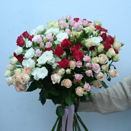 25 branches of spray rose