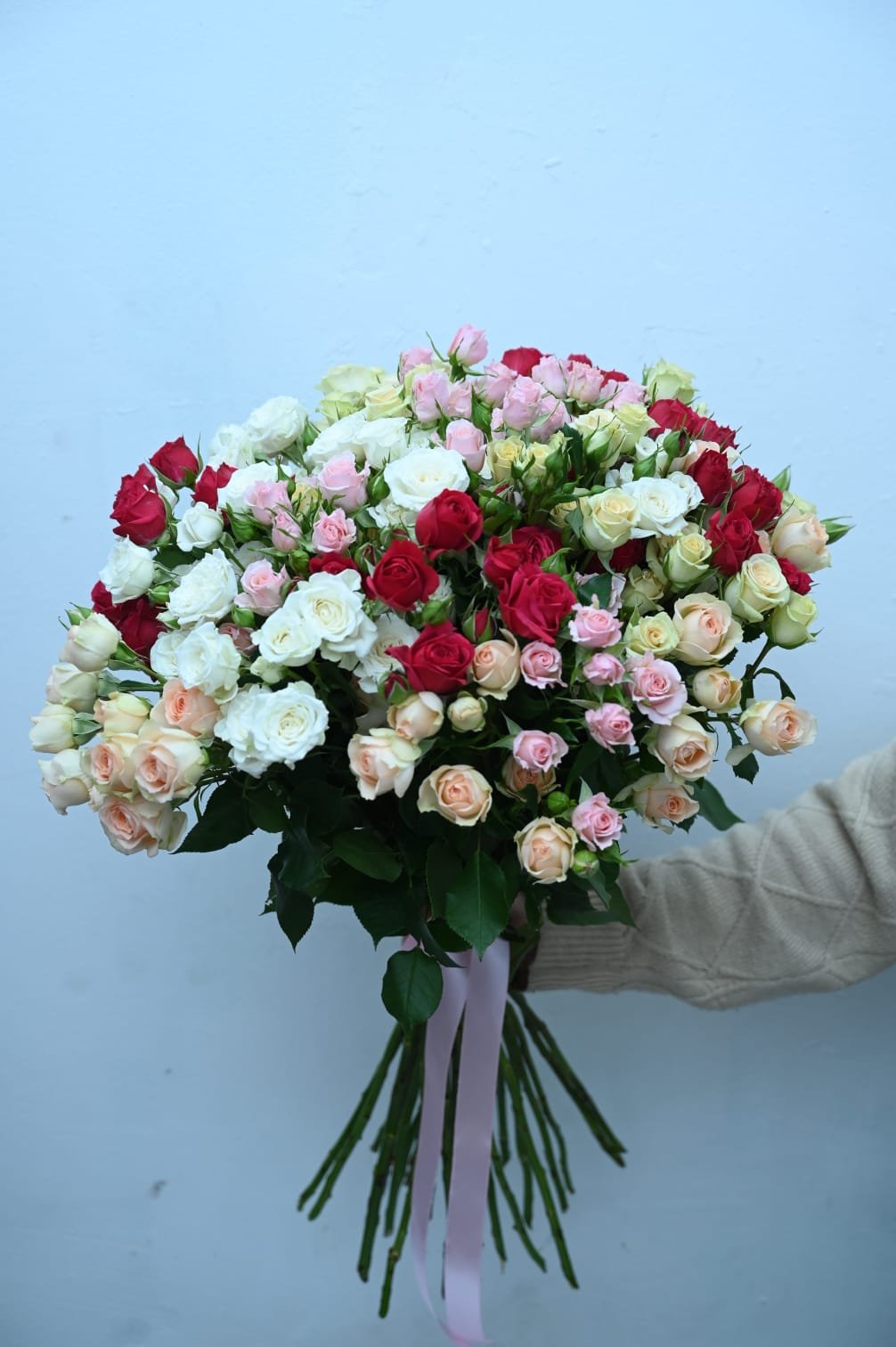 25 branches of spray rose