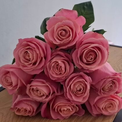 11 pink roses